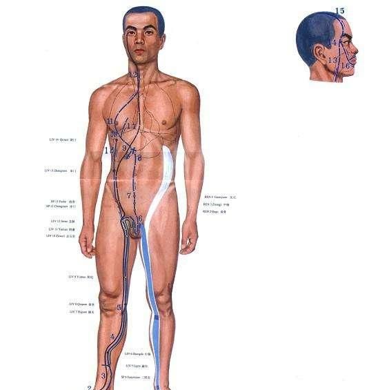 如何拉肝经,拉肝经的瑜伽体式图2