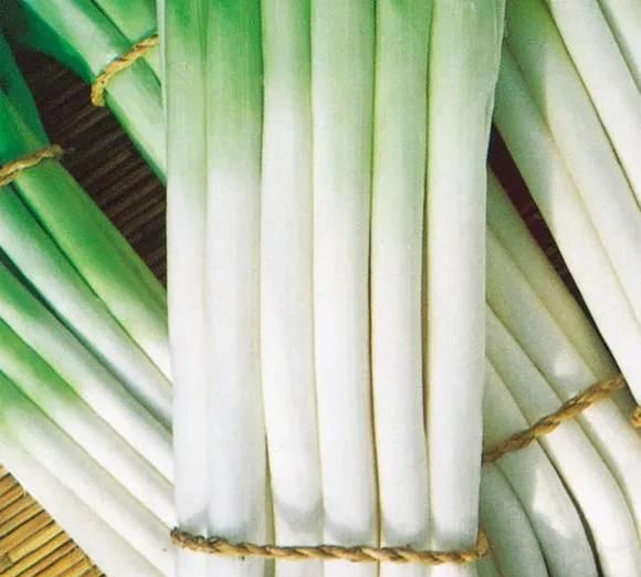 大葱煮水缓解感冒
