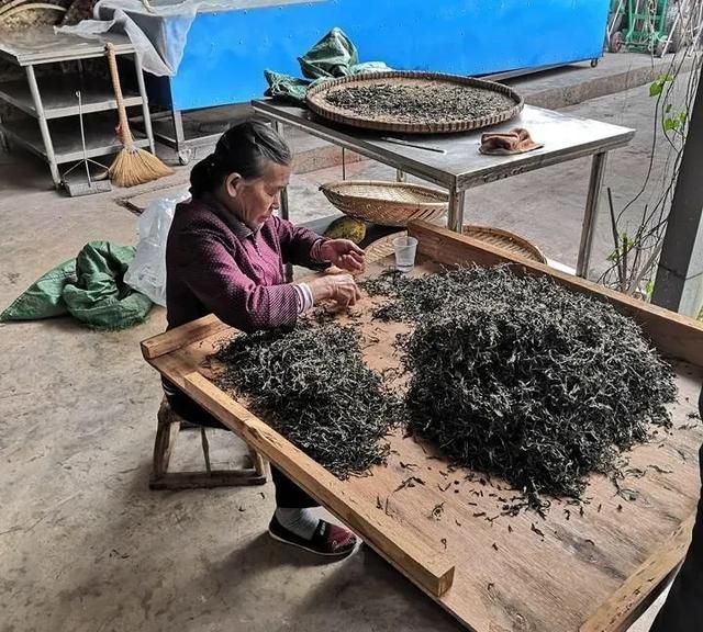 为什么有人说“生不喝黄片，熟不喝茶头”图2