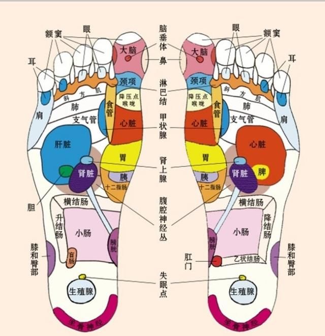 脚踩鹅卵石有什么好处(踩鹅卵石是赤脚还是穿袜子好)图1