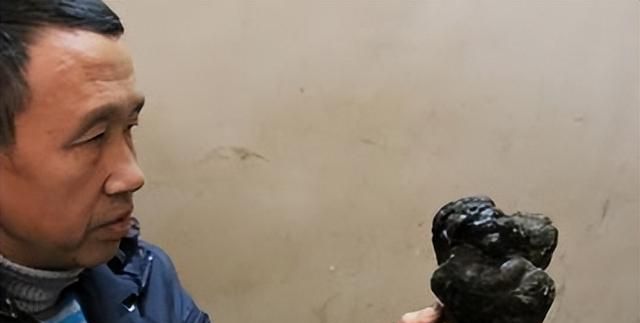 它长在坟墓中，人称“血灵芝”，如今极为珍贵，若遇见，别惊恐