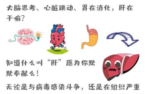 肝炎会传染哪些传播途径需要提防