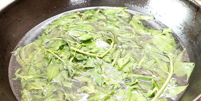 “春吃芽胜吃肉”，这4种芽菜别忘吃，鲜嫩爽口，遇到千万别手软