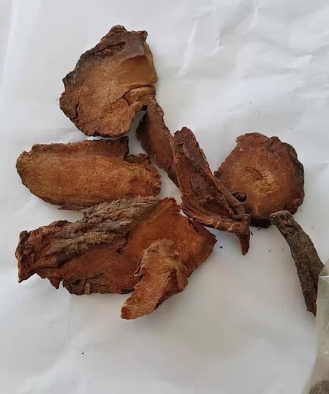 土大黄加什么泡水喝不会寒凉,土大黄能长期煮水喝吗有副作用吗图1