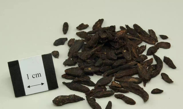 抗癌良药——香附，可别以为只是路边杂草！疏肝理气止痛功效显著