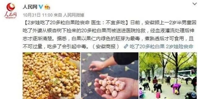 一个银杏果，11种吃法，可用于慢性气管炎、青春痘等8种病的治疗