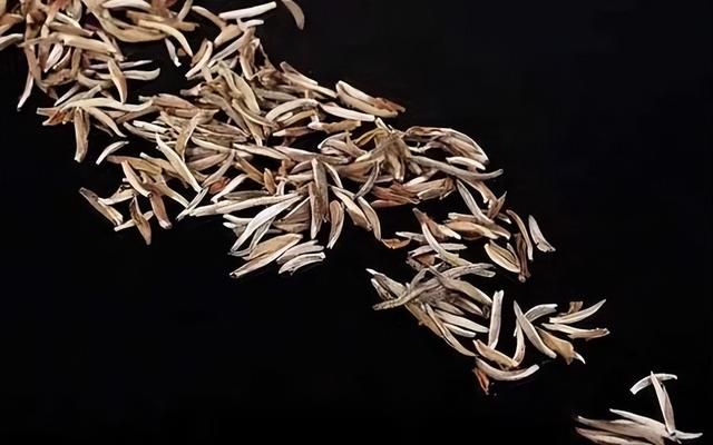 历代“中国十大名茶”大盘点！最新版的“十大名茶”你都知道吗？