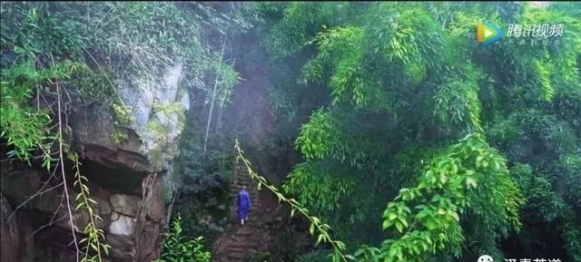 历代“中国十大名茶”大盘点！最新版的“十大名茶”你都知道吗？