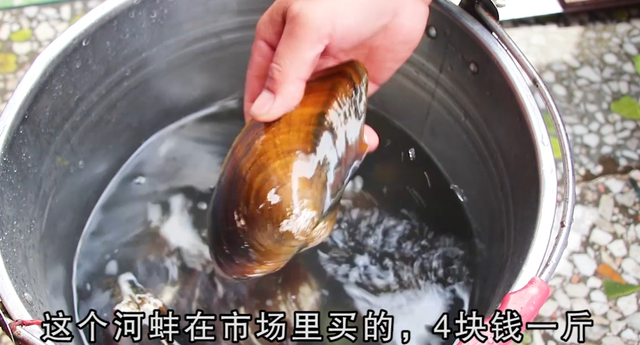 河蚌很多人不会做？教你好吃的家常做法，肉不老也不腥，营养美味