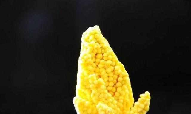 长在树上的鱼籽，农家门口都有的极品，消炎清火及降血压