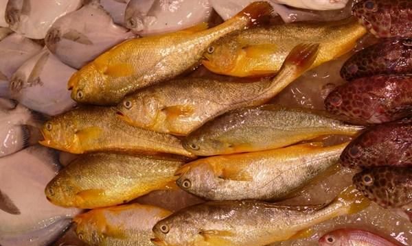 夏季养生吃“三鲜”