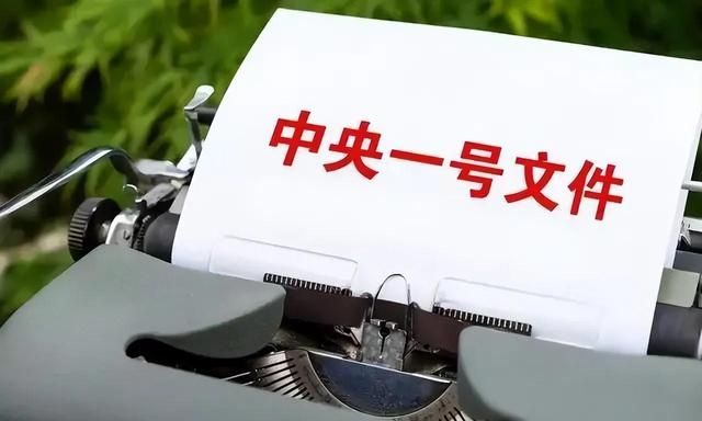 农村即将开展大整治，6类“生意”一律禁止，中央一号文件有规定