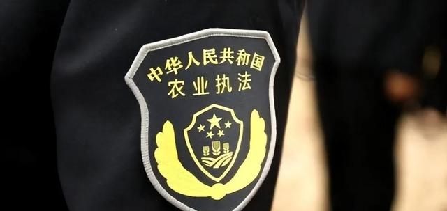 农村即将开展大整治，6类“生意”一律禁止，中央一号文件有规定
