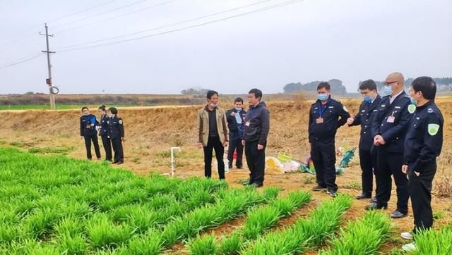 农村即将开展大整治，6类“生意”一律禁止，中央一号文件有规定