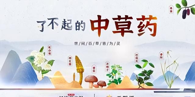 千金不换刺五加，却因不识当柴烧