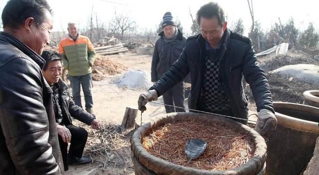 最近柿子上市了,柿子酒怎么酿制呢图4