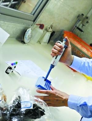 一德路海味干果抽检 10样品二氧化硫超标