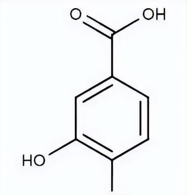 玫瑰茄