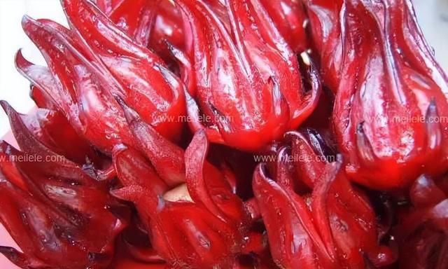玫瑰茄