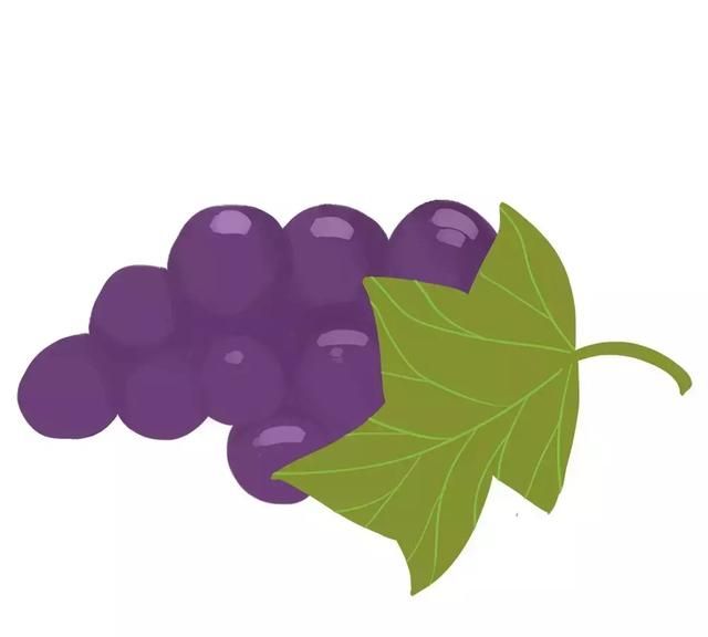不同的葡萄有不同的功效？