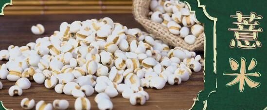 薏米除了能祛湿，还能美容抗衰老，减少色斑的出现