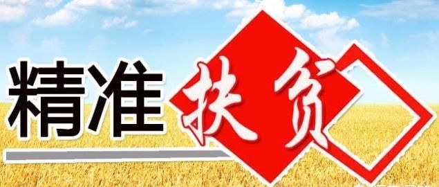 四川省阆中市水观镇有哪些精准扶贫政策呢图3