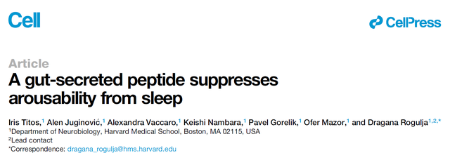 如何睡个好觉？哈佛学者给出答案：多吃蛋白质，可以直接睡眠觉醒