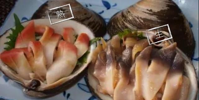 蛤、蚶、蛏、蚝、蚬有什么区别？这是一群美味海怪与人类的故事