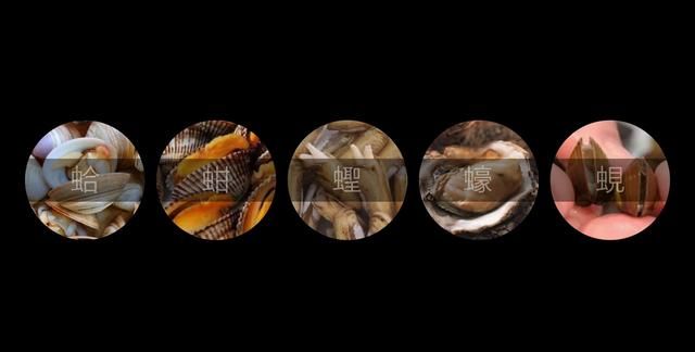 蛤、蚶、蛏、蚝、蚬有什么区别？这是一群美味海怪与人类的故事
