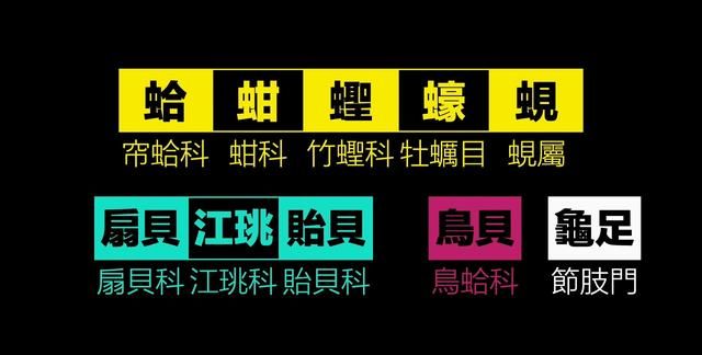 蛤、蚶、蛏、蚝、蚬有什么区别？这是一群美味海怪与人类的故事