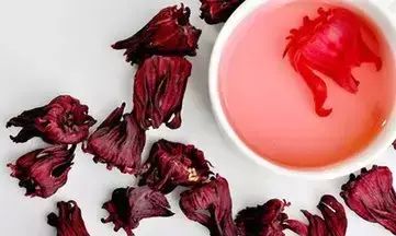 植物中的红宝石洛神花(龙胆草洛神花)图2