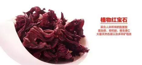 植物中的红宝石洛神花(龙胆草洛神花)图3