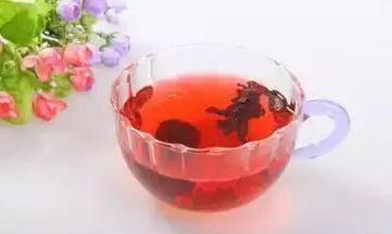 植物中的红宝石洛神花(龙胆草洛神花)图6
