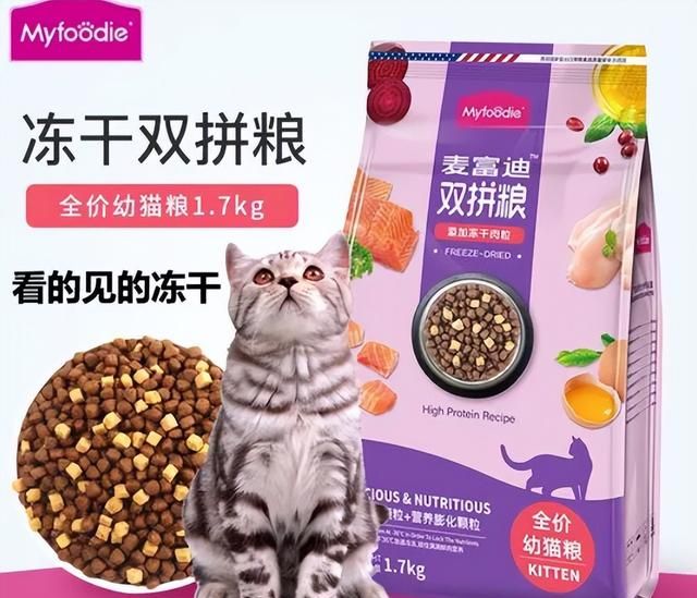 猫咪需要补充的营养都在这里了 新手养猫必读