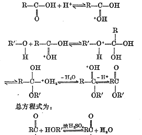 高中有机知识归纳——有机反应中浓硫酸的作用（关注私信得文档）