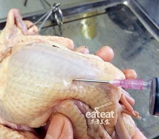 如何制作烤鸽子(家庭烤鸽子教程)图3