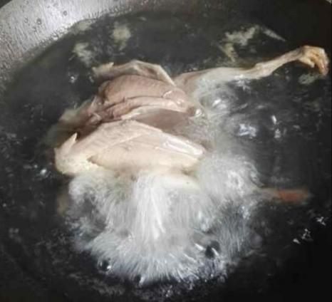 如何制作烤鸽子(家庭烤鸽子教程)图8