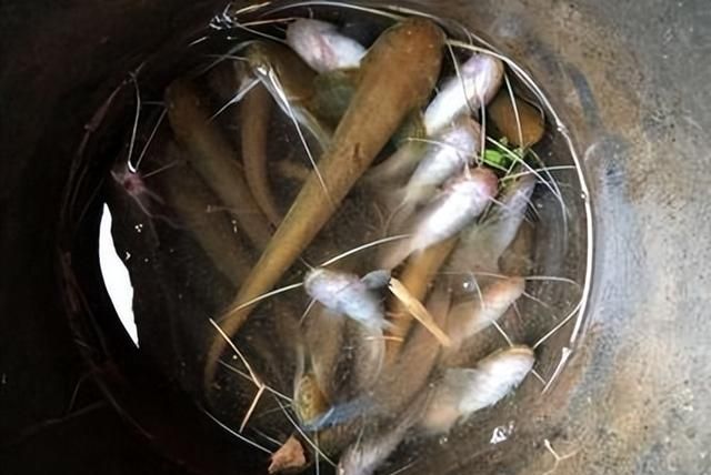 湖北神秘山洞孕有"神鱼"？每年吐鱼上万斤，专家：这鱼可不能吃！