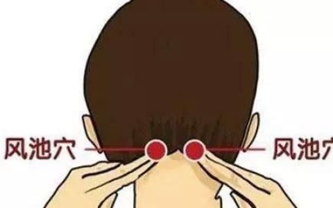 本人偏头痛23年了，发作时以左侧为主，现在转换到头部两边的风池穴位疼，怎么调理