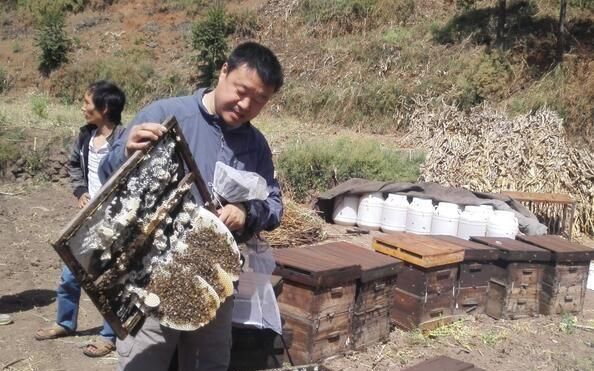 原蜂蜜能直接食用吗？蜂蜜不加水能直接吃吗？