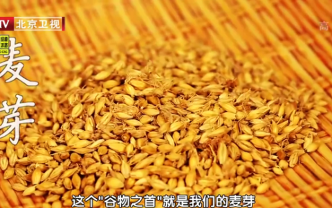 粮谷米面怎样蒸馒头,怎样用三色藜麦蒸出好吃的馒头