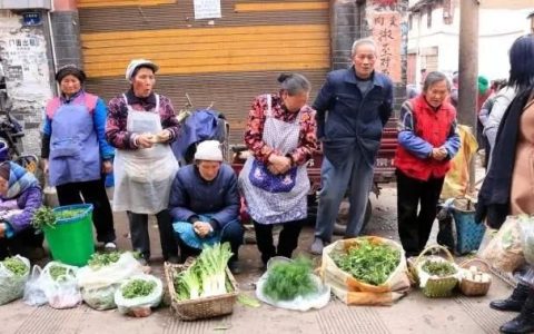 这六种野菜你最喜欢吃哪一种,公认7种可以吃的野菜