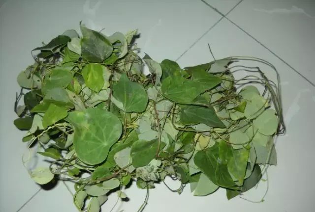 关于云浮民间美食藤豆腐的传说，你听说过吗？