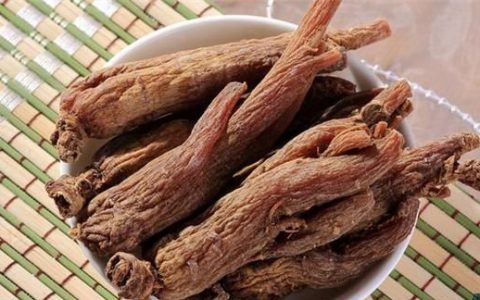 服用红参有什么禁忌