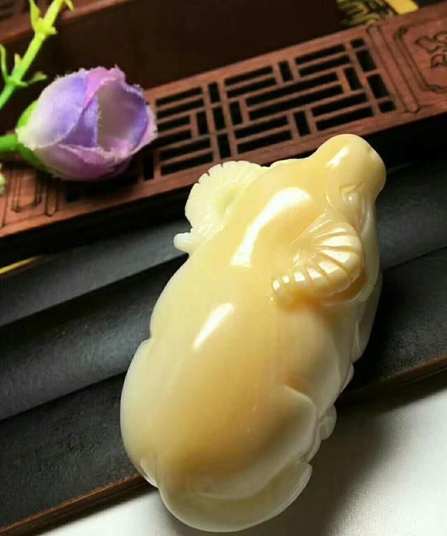 砗磲也能用作灵药，绝不是在搞笑还很高效！