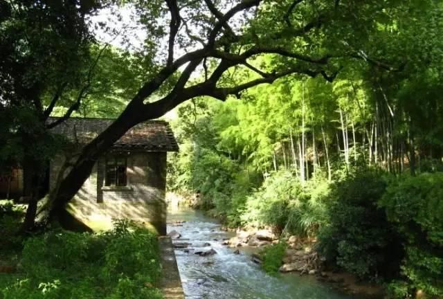 乡愁如此美丽！衢州27个“国字号”传统村落，走起~
