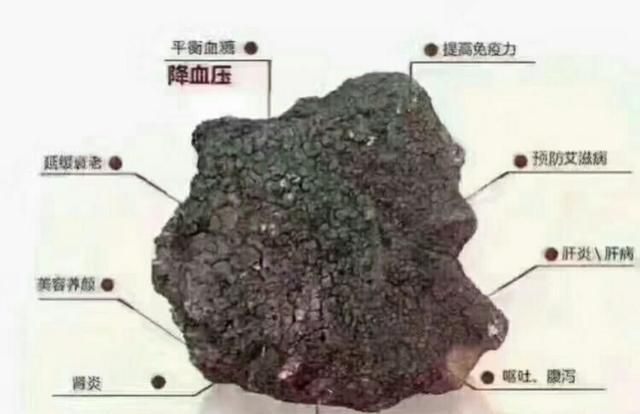 什么是白桦茸《森林之钻》