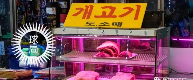 朝鲜狗肉风俗 | 地球知识局