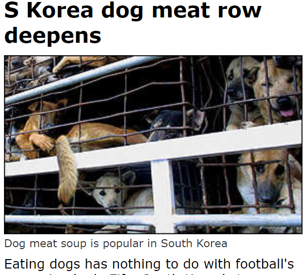 朝鲜狗肉风俗 | 地球知识局