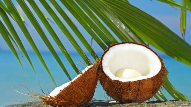 汁液清甜、解渴祛暑的椰子有祛风、驱毒、养颜的功效，你喜欢么